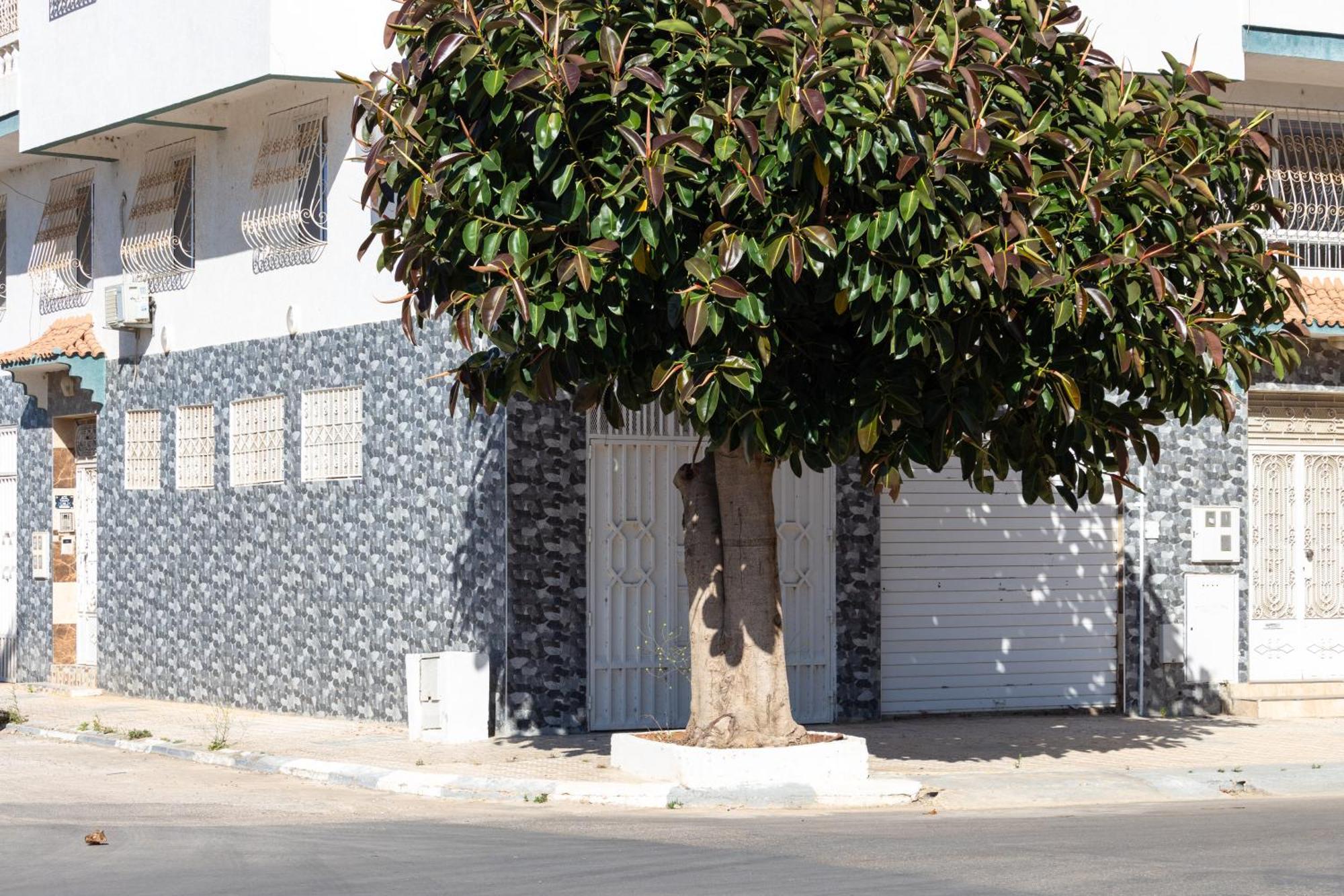 Appartements Calmes Et Spacieux Tétouan المظهر الخارجي الصورة